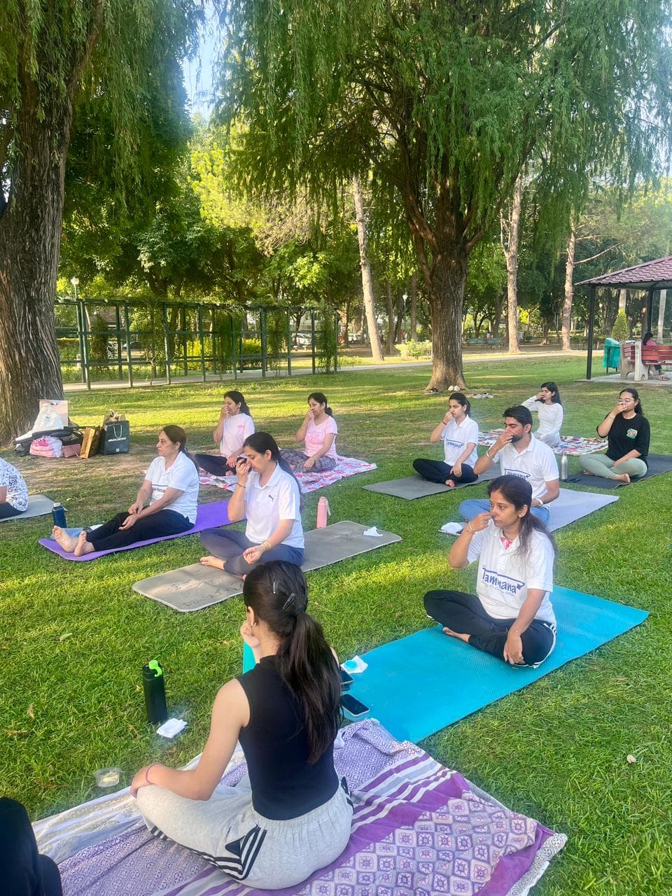 Yoga Utsav